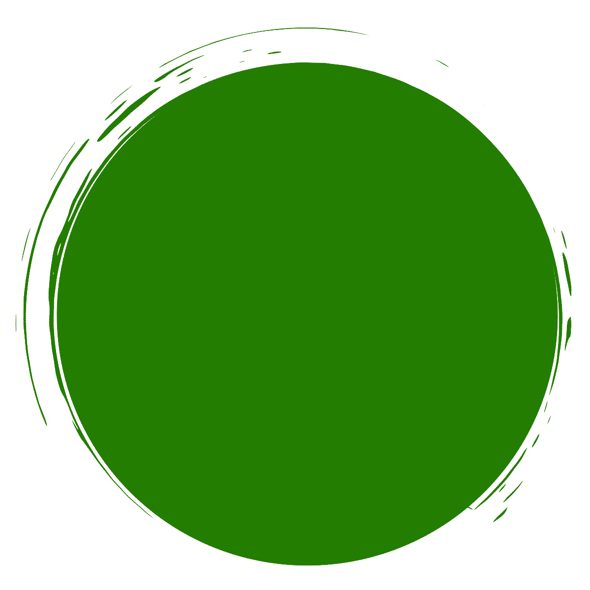 Grüne Umrahmung Logo