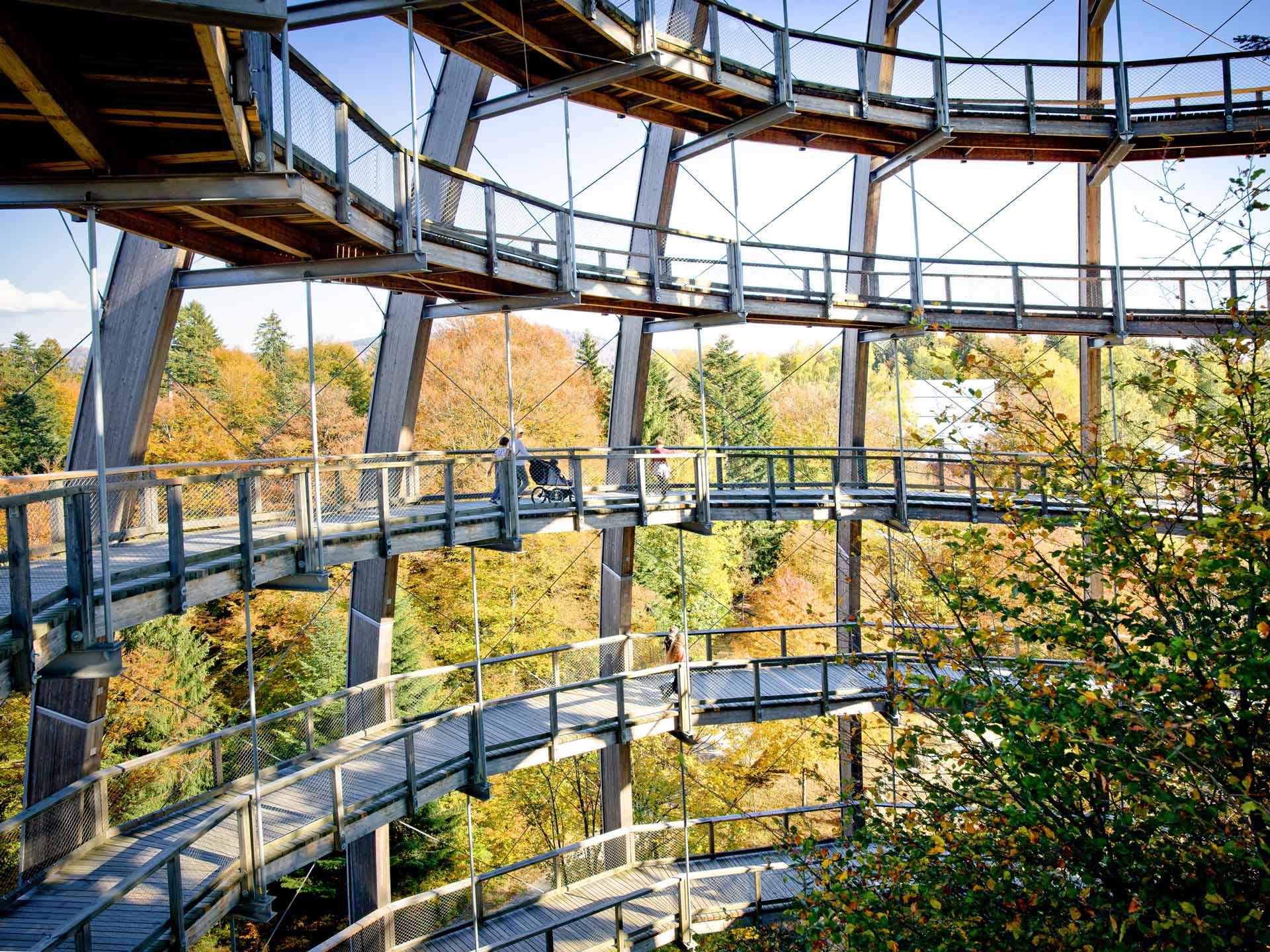 Baumwipfelpfad Bayerischer Wald